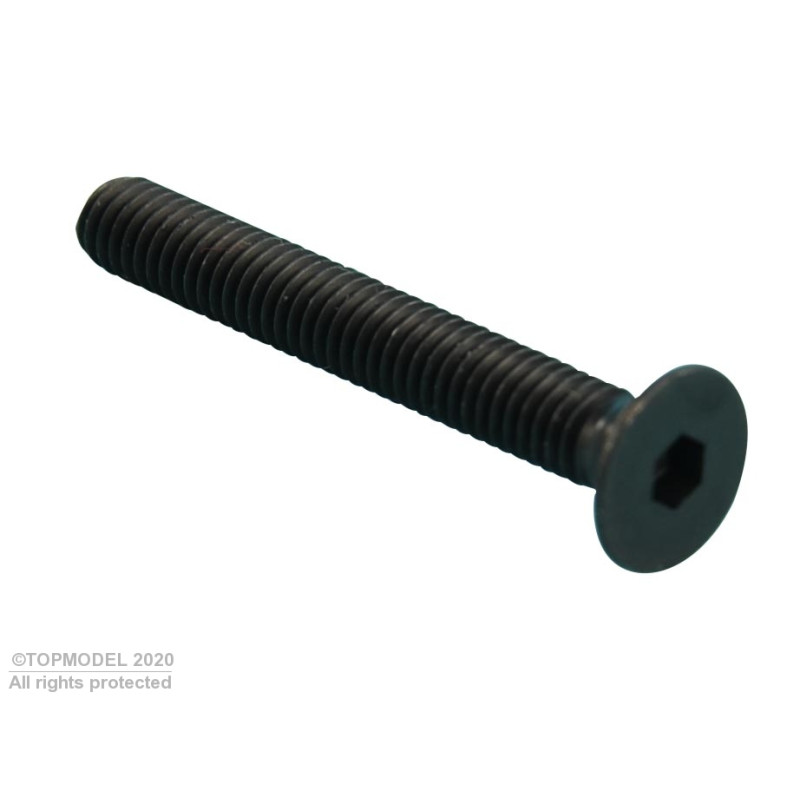 VIS 6 PANS CREUX TETE FRAISEE M2,5x8 mm